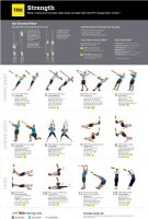 TRX Juliste: Koko vartalon voima TRX Juliste: Koko vartalon voima